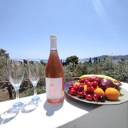 Kiousis Estate Villa Spetses Town